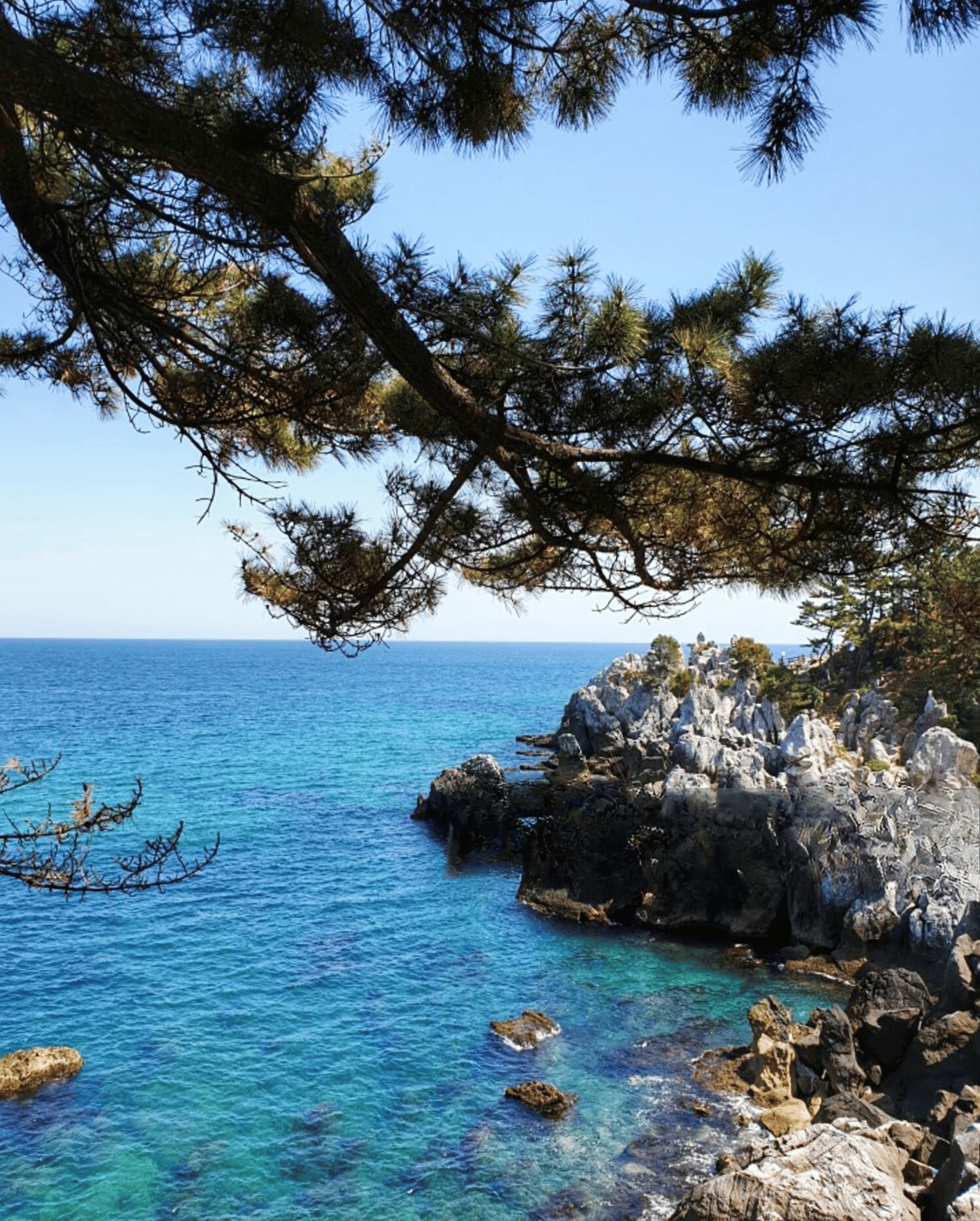Vallauris